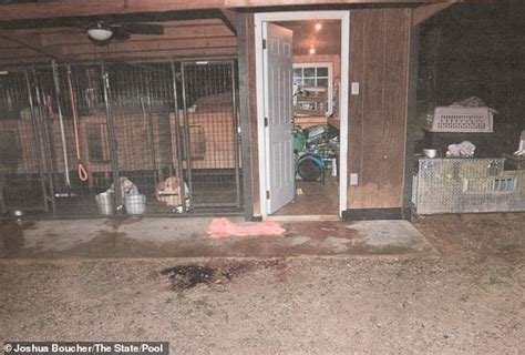 maggie murdaugh murder photos|Chilling photos reveal bloody crime scene where Maggie and Paul ...